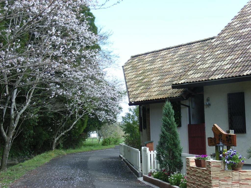 Minshuku Hoshi No Sumika Hotel Shibushi Exterior photo